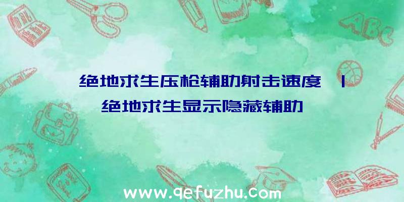 「绝地求生压枪辅助射击速度」|绝地求生显示隐藏辅助